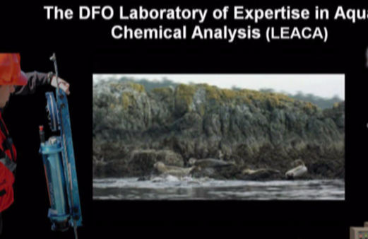 Marine contaminants