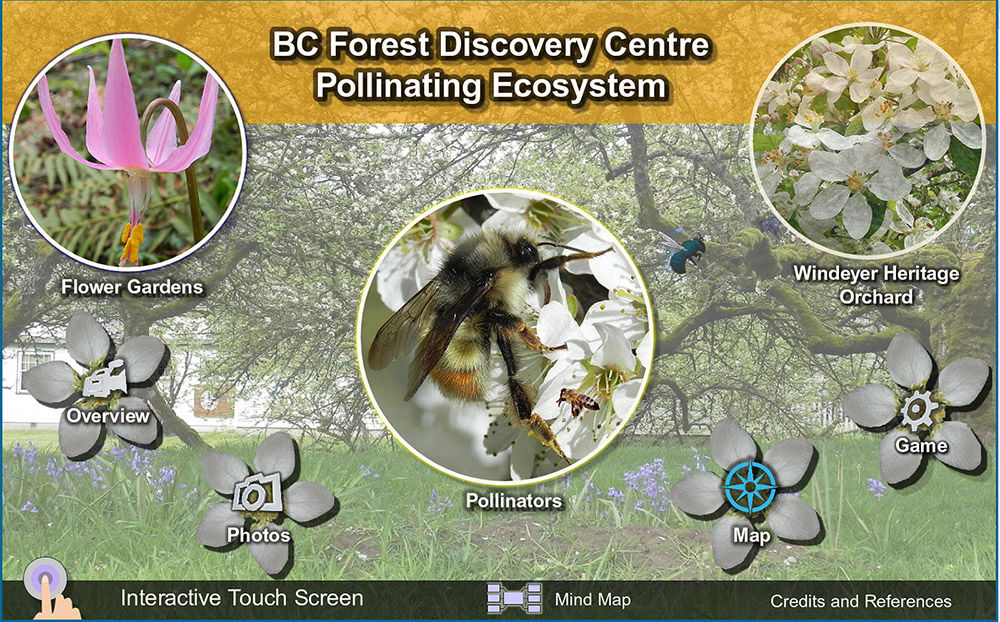 Pollination ecosystem