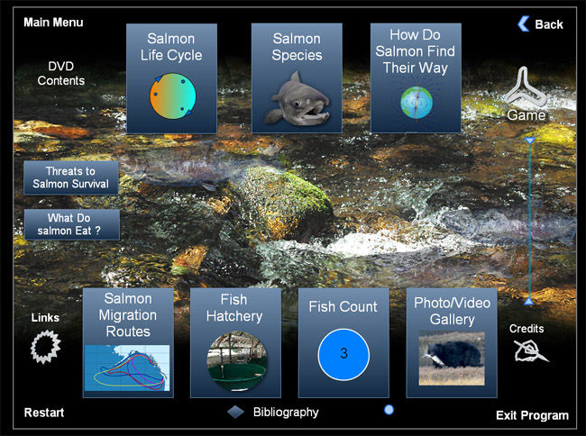 Goldstream salmon lifecycle