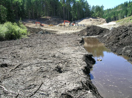 wetland draining