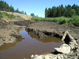 wetland draing2